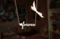 /album/fotogaleria/a401488-346674892039718-431661544-n-jpg/